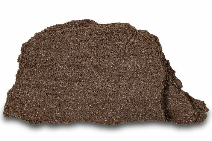 Permineralized Wood Covered In Sparkling Quartz - Germany #306963